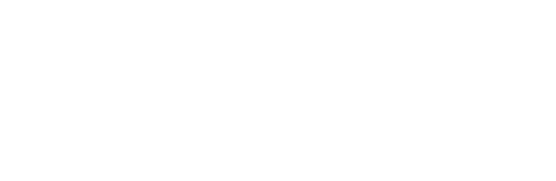Team Determinazione
